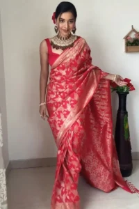 saree6
